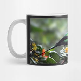 Malachite Sunbird, South Africa Mug